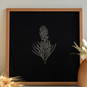 The Monochrome Autumn Leaf