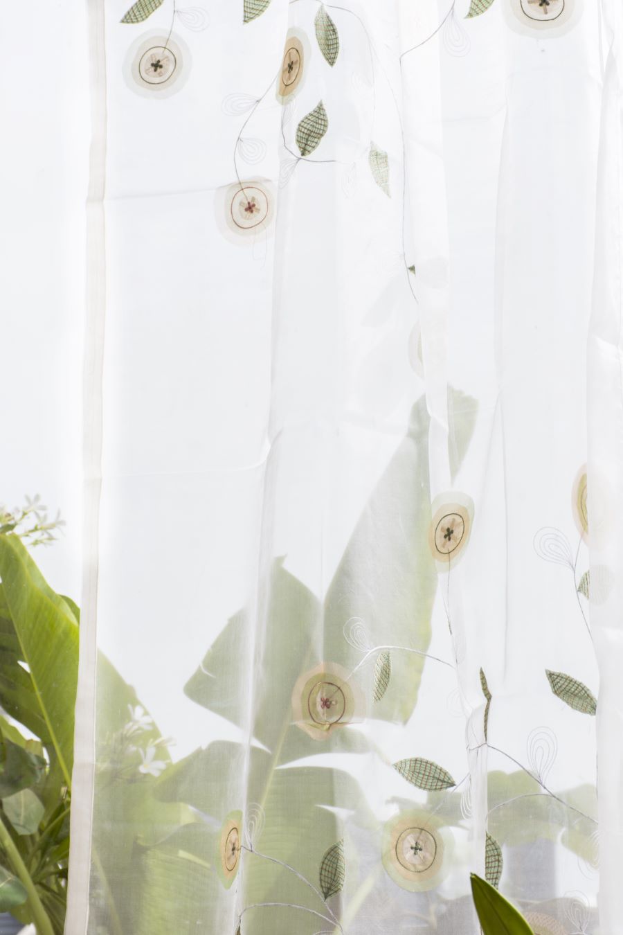 Button Bloom Sheer
