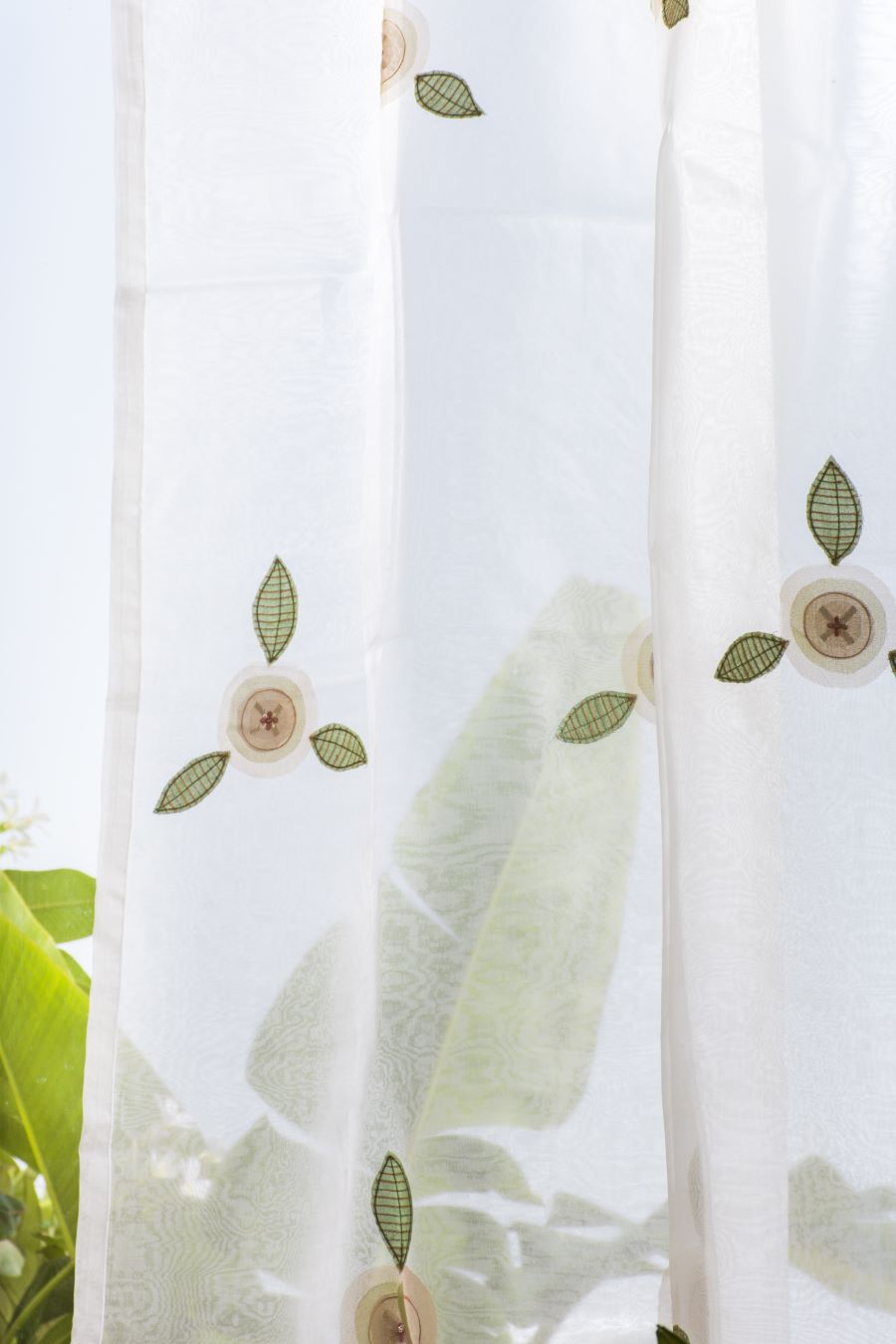 Button Bloom Sheer