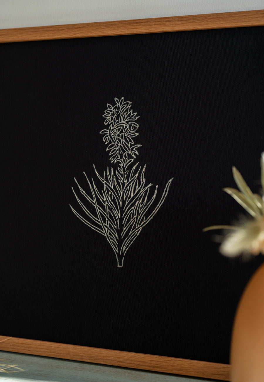 The Monochrome Autumn Leaf