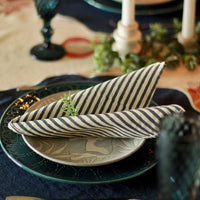 Nautical Striped Napkins (set of 4)