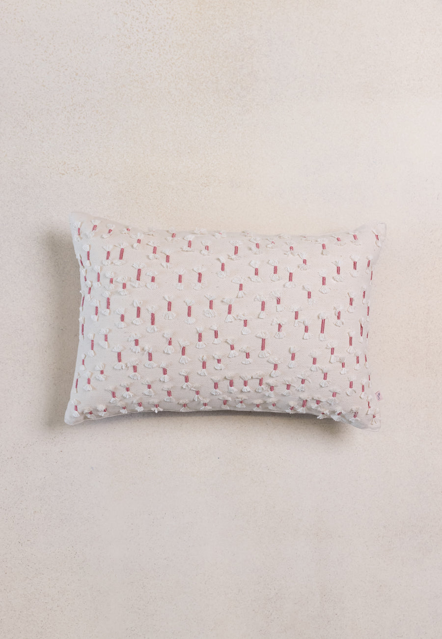 The Pink Sky Cushions